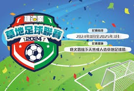 AC米兰夺得意甲冠军的背后故事